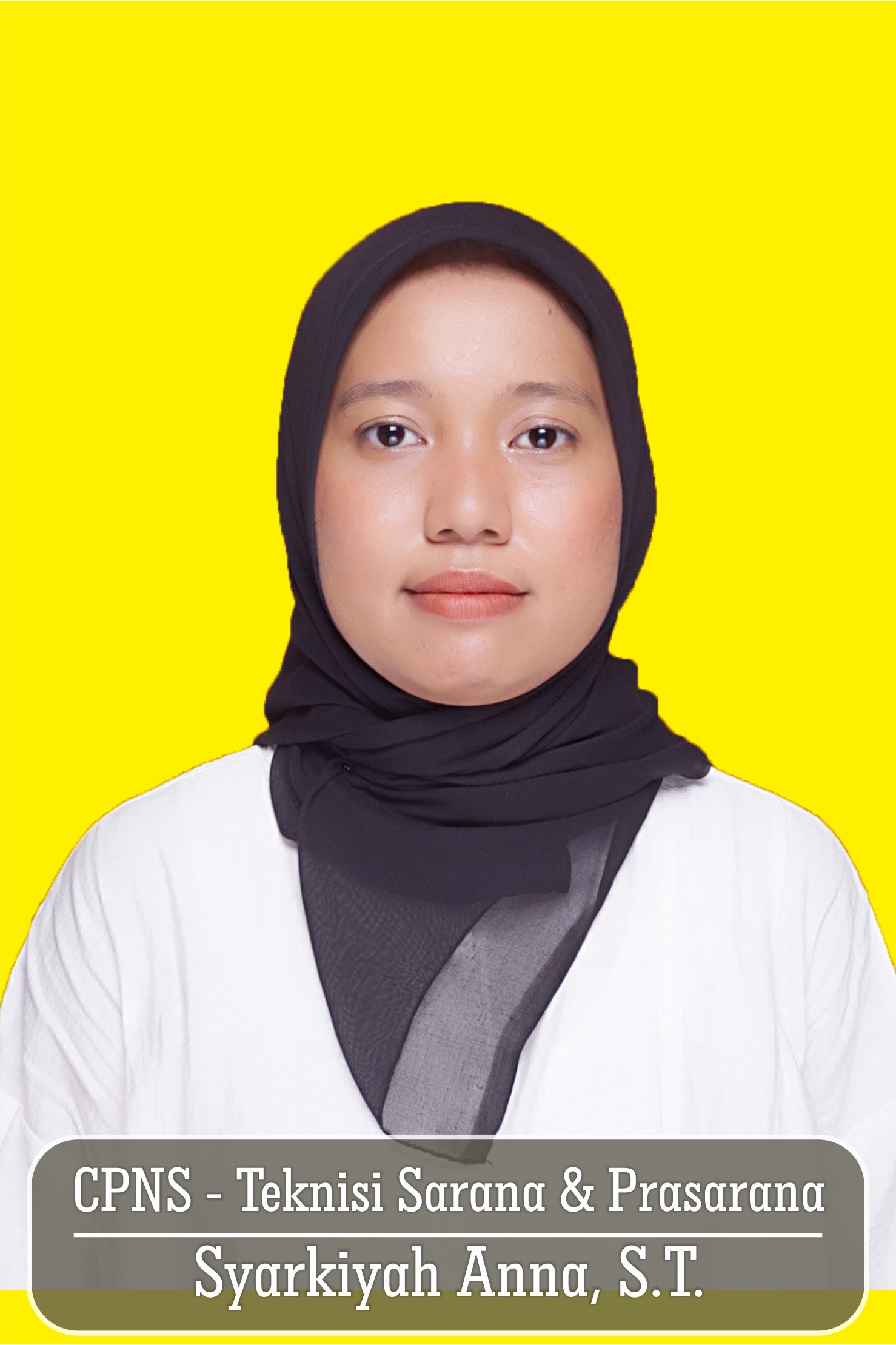 CPNS ana