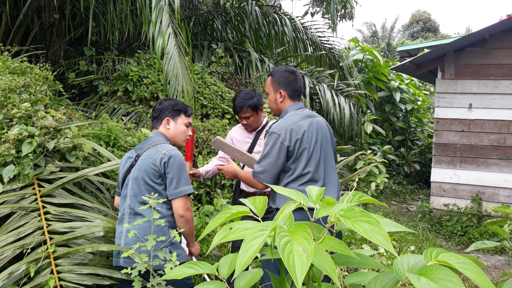Gambar WhatsApp 2019 11 06 pukul 18.19.09